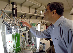 Himadri Pakrasi explains the photobioreactor in his Rebstock Hall laboratory.  Inside the tube photosynthetic bacteria are making ethanol more efficiently than other forms of biomass because  the  cyanobacteria are natural fermentators.