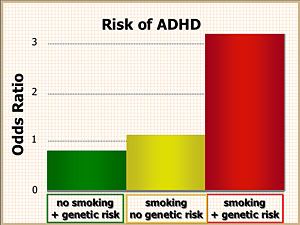 The risk of a severe type of ADHD greatly increases in children whose mothers smoked during pregnancy and who also have variants of one or two genes associated with ADHD.