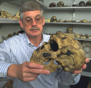 Erik Trinkaus, WUSTL professor of anthropology in Arts & Sciences, holding a Neandertal skull, says the evidence is very convincing that Neandertals and early humans mixed.