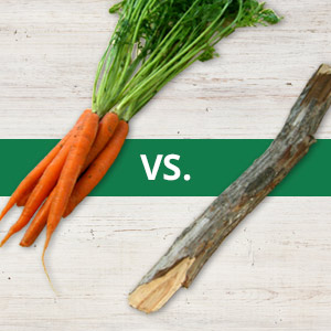 Which is more effective — the carrot or the stick? Researchers at Washington University in St. Louis have devised a simple experiment to test the effects of rewards and punishments on behavior and have found that punishments seem to be more effective at influencing behavior than rewards. 