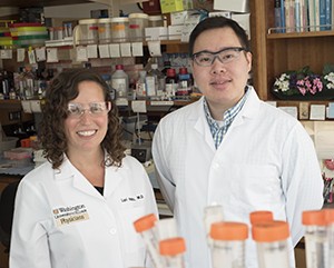 Lori Holtz, MD, (left) led a study with first author Efrem Lim, PhD, postdoctoral research associate, that surveyed the viruses present in the guts of eight babies from birth to age 2, providing a first look at a healthy gut virome. 