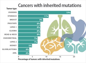 A new study sheds light on the inherited components of 12 cancer types. The research confirmed the well-known heritability of breast and ovarian cancers and found a surprising inherited component to stomach cancer. In the graphic above, Lung 1 is lung squamous cell carcinoma, and Lung 2 is lung adenocarcinoma. (Credit: Sara Dickherber)