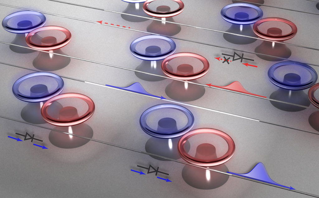 PT symmetry has repeatedly been verified, including at Bender's home institution. Coupled optical resonators (paired red and blue toroids on little pedestals) are PT symmetry systems. When they are tuned through a "phase transition" light, instead of moving through them in both directions, can only travel one way. (Credit: Micro/Nano Photonics Laboratory, Department of Electrical & Systems Engineering, Washington University) 