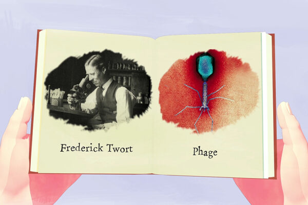 Phage: friend or foe?
