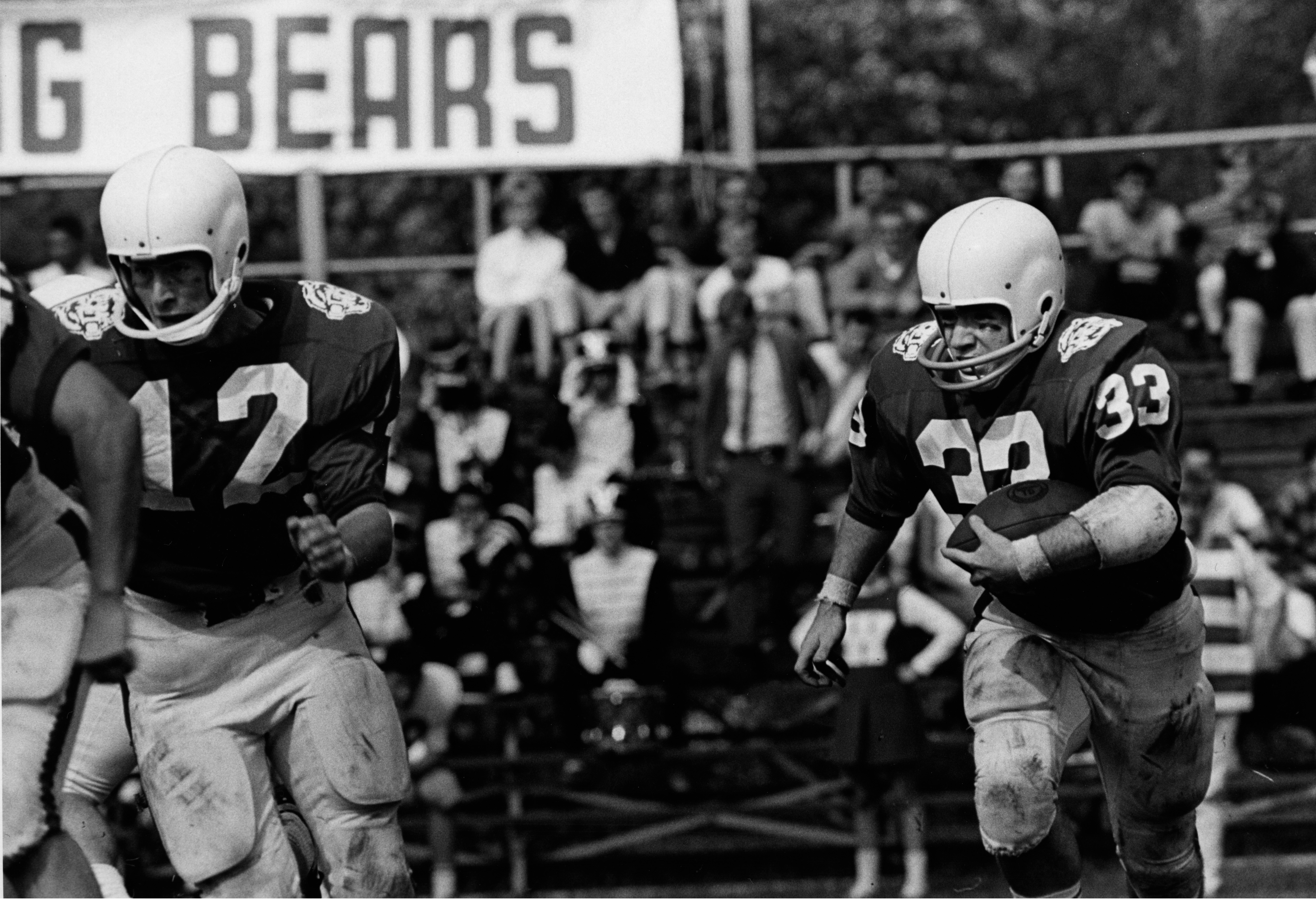 The “Battling Bears” during a football game, 1967. (Washington University Archives)
