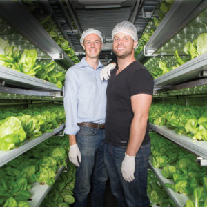 Alumni and co-founders of Local Roots Farms Eric Ellestad (left), CEO, and Matt Vail, COO, show their controlled-environment farming system inside a converted shipping container in Vernon, California. (Photo: Patrick Record)