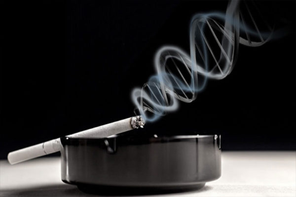 Brown School researchers begin low-income smoker study