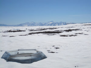Alaska field site