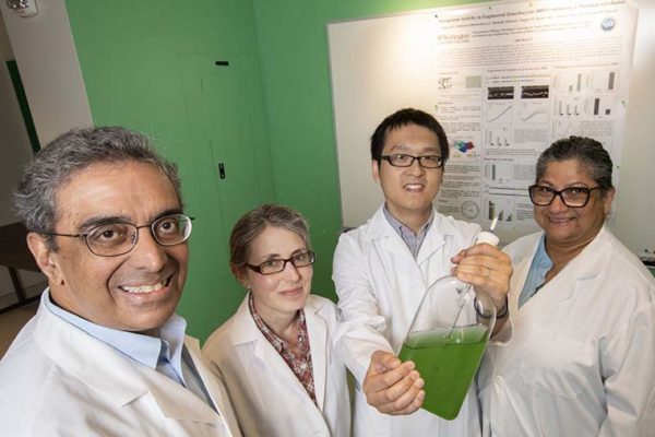 Researchers engineer bacteria that create fertilizer out of thin air