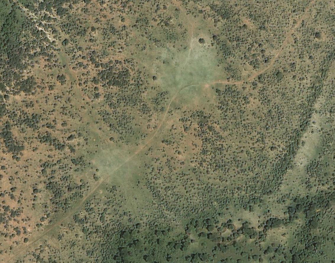 Open grassy areas with a flush of fresh green grass mark the site of ancient livestock corrals at Indapi Dapo, a Neolithic herding encampment in southwest Kenya. Imagery from Google Earth Pro, Digital Globe.