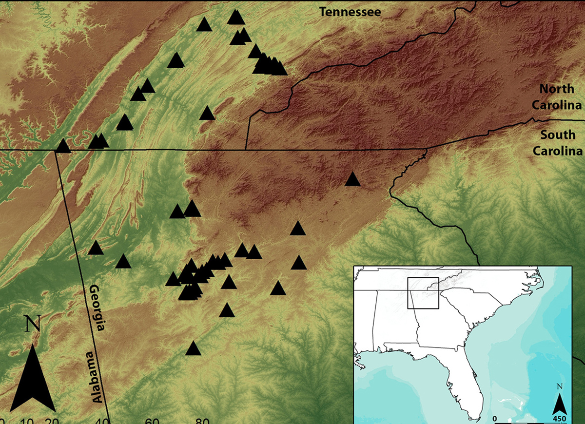 A map of the southern Appalachian region, with the archaeological sites used in this study indicated. The sites are spread across both eastern Tennessee and northern Georgia and date to the period between AD 800 and 1650. Credit: Jacob Lulewicz