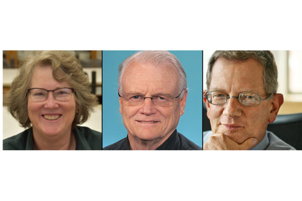Marshall, Stormo to receive 2019 faculty achievement awards