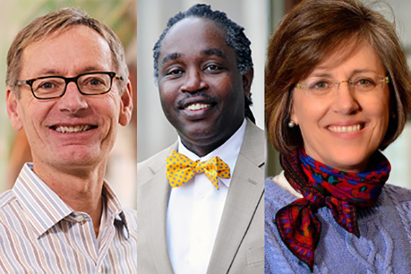Faculty fellows to lead key areas in provost’s office