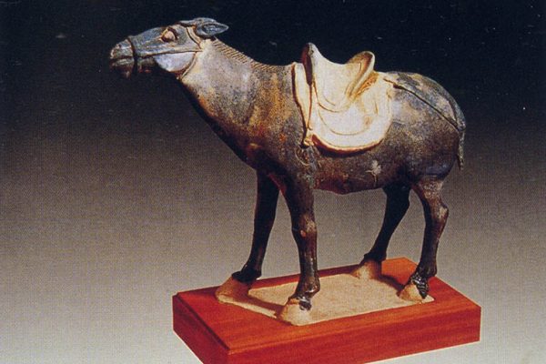 Tang Dynasty noblewoman buried with her donkeys, for the love of polo