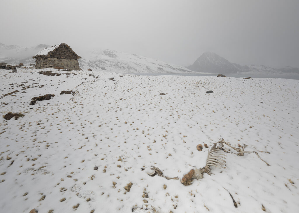 The climate is becoming more extreme and unpredictable, upending a way of life that local herders have developed over thousands of years. (Photo: Tom Malkowicz)