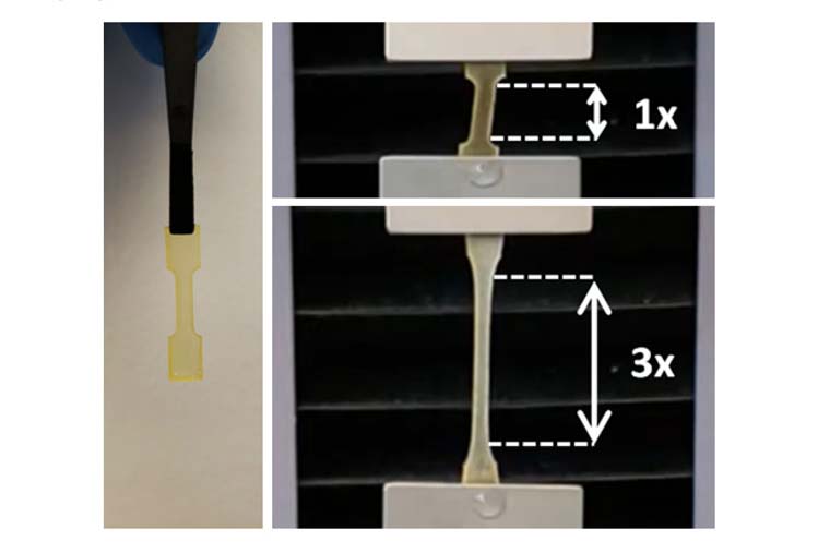 Two images of a hydrogel showing it stretches to three-times its length while retaining adhesion.