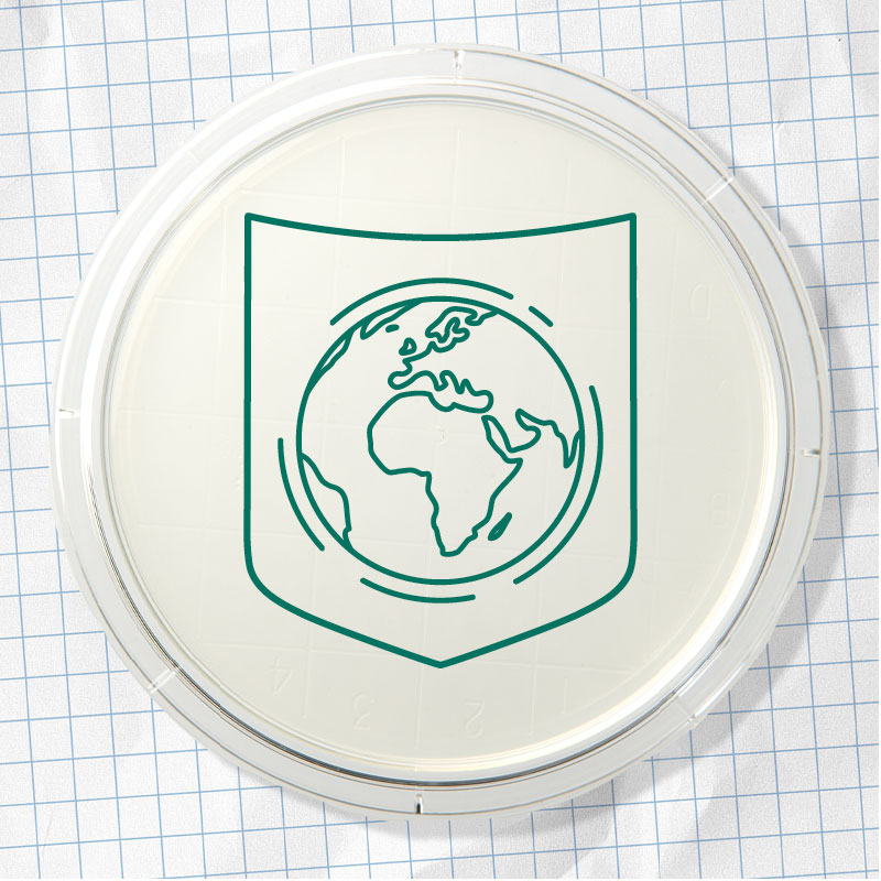 illustration of shield with globe