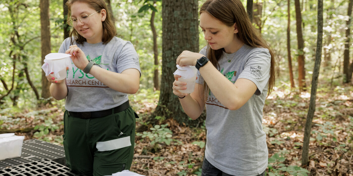 high school students do field work