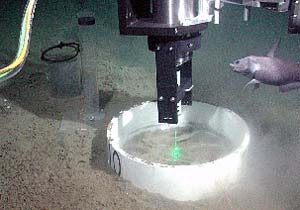 A fish on the ocean floor off California gazes at a sight no human has seen first-hand: the Washington University Raman spectrometer gathering data on a carbon dioxide sample.