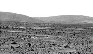An image of the Martian landscape, as taken by the rover *Spirit*. Raymond E. Arvidson, Ph.D., the McDonnell Distinguished University Professor and chair of earth and planetary sciences in Arts & Sciences, is the mission's deputy principal scientist.