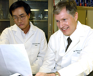 Marc R. Hammerman, M.D. (right), and Feng Chen, Ph.D., assistant professor of medicine, examine sequencing data for a rat into which an embryonic pig pancreas was transplanted. 