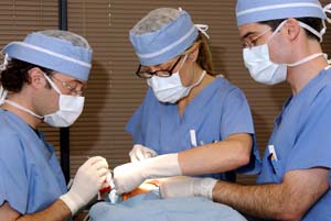 Roberta Sengelmann, M.D. (center), fellow Shawn Allen, M.D. (left), and resident Paul Klekotka, M.D., perform reconstruction of a nasal wound defect following Mohs micrographic surgery, a technique that offers exceptional cure rates for non-melanoma skin cancer while allowing preservation of healthy tissue to minimize scarring.