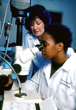 M. Rosario Hernandez, D.D.S. (rear), and student Lindsay Wells examine astrocytes isolated from the optic nerves of African-Americans. 