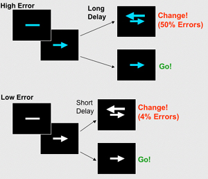Researchers provided study participants with a series of blue or white cues and asked them to push one button or another depending on the direction of arrows. Brain imaging suggested that an area of the brain had learned to recognize that blue cues indicated a greater potential for error, thus providing an early warning signal that negative consequences were likely to follow their behavior.