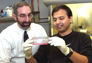 David H. Gutmann, M.D., Ph.D. (left), and postdoctoral researcher Biplab Dasgupta, Ph.D., examine mouse brain tumors in the lab. 