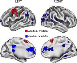 As our brains mature, we tend to use the red regions more frequently for these certain tasks, using the regions represented in blue less.