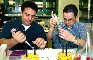 Javier Carrero (left) works in a lab with postdoctoral researcher Boris Calderon, M.D. 