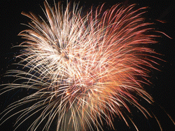 Medical experts say to leave fireworks to professionals.