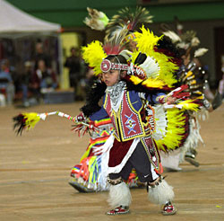 Native American efforts to preserve and promote a treasured culture have taken many forms, including powwow ceremonies.