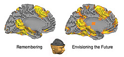 Comparing images of brain activity in response to the self-remember and self-future event cues, researchers found a surprisingly complete overlap among regions of the brain used for remembering the past and those used for envisioning the future.