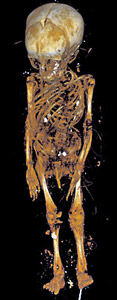Rendering of the mummy skeleton, created using more than 1,000 slices of high-resolution computed tomography (CT) data.
