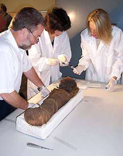 (From left) Charles F. Hildebolt, D.D.S., Ph.D.; Li Cao, M.D., a staff scientist in human genetics; and Anne Bowcock, Ph.D., take core samples from the approximately 2,000-year-old mummified boy for DNA testing at the Saint Louis Science Center. The School of Medicine researchers were among national and international researchers using CT-generated 3-D models, DNA testing and radiocarbon dating to study each aspect of the mummy. Scientists determined the boy was 7-8 months old when he died.