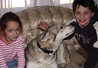 Nancy Berg's daughter Elizabeth, 8; son David, 11; dog Kona.