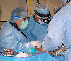 John M. Lasala, M.D., Ph.D., (left) professor of medicine and medical director of the Cardiac Catheterization Laboratory, and Ralph J. Damiano Jr., M.D., the John M. Shoenberg Professor of Surgery, work together on the first surgery in the PARTNER trial a