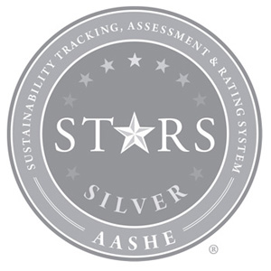 Stars Silver