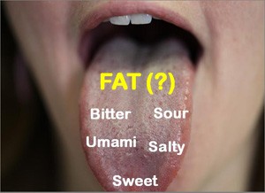  Scientists have agreed that the tongue can sense five distinct tastes but differed over whether our taste buds can detect fact. New research now finds that the tongue can recognize and has an affinity for fat and that variations in a gene can make people more or less sensitive to the taste of fat in foods.