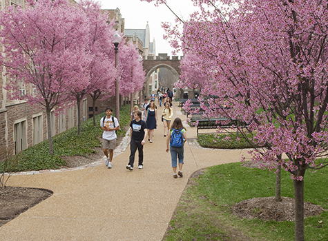 Spring Preview welcomes admitted students - The Source - Washington  University in St. Louis