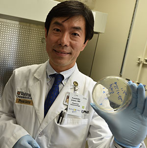 Studying animal models and cells taken from patients with Wolfram syndrome, first author Simin Lu, PhD student (left), and principal investigator Fumihiko Urano, MD, PhD, led a team that found the FDA-approved muscle relaxant dantrolene may be an effective treatment for the rare but devastating form of diabetes. 