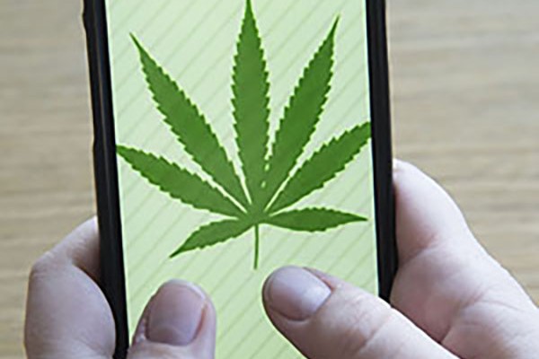 Pro-marijuana ‘tweets’ are sky-high on Twitter
