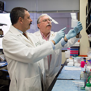 When kidney cancer is diagnosed early — before it spreads — 80 percent of patients survive. But early diagnosis is a challenge. Now, Washington University School of Medicine researchers Evan D. Kharasch, MD, PhD (left) and Jeremiah J. Morrissey, PhD, have developed a noninvasive method to screen for kidney cancer by measuring the presence of proteins in the urine. 