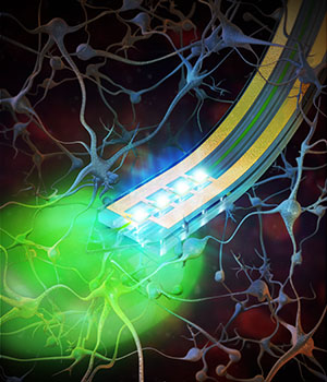 Tiny, implantable devices are capable of delivering light or drugs to specific areas of the brain, potentially improving drug delivery to targeted regions of the brain and reducing side effects. Eventually, the devices may be used to treat pain, depression, epilepsy and other neurological disorders in people.
