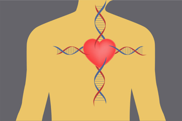 Edging closer to personalized medicine for patients with irregular heartbeat