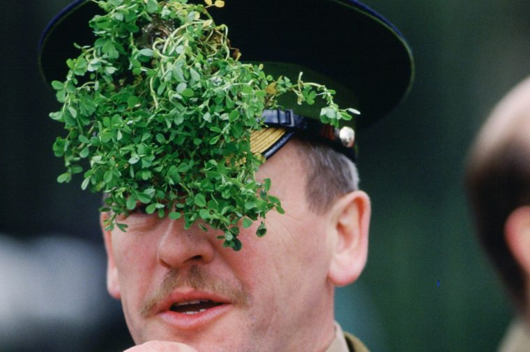 Irish Guard wearing a shamrock on St. Patrick's day