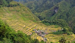 Rice fields in the Cordillera mountains of northern Luzon, the Philippines