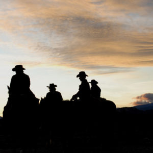 cowboys on horses against blue sky