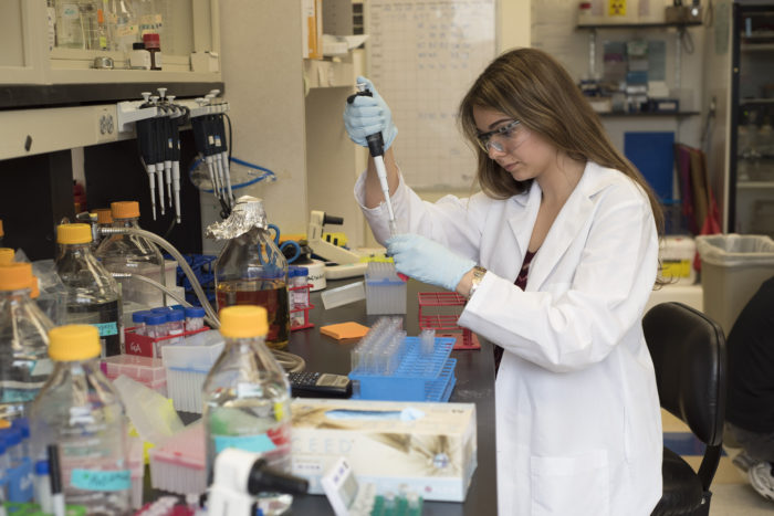 High school student Rachel Neff won awards for her work on proteins from the Ebola virus in the lab of Gaya Amarasinghe, associate professor of pathology and immunology at the School of Medicine.(Photo: Robert J. Boston/School of Medicine) 
